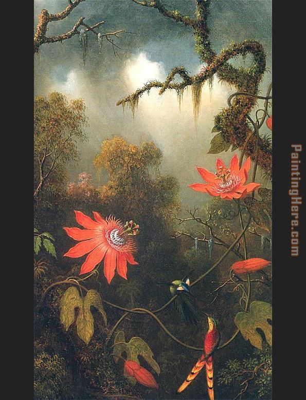 Two Hummingbirds Perched on Passion Flower Vines painting - Martin Johnson Heade Two Hummingbirds Perched on Passion Flower Vines art painting